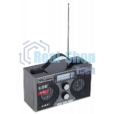 Радиоприемник портативный Сигнал БЗРП РП-306 черный USB SD