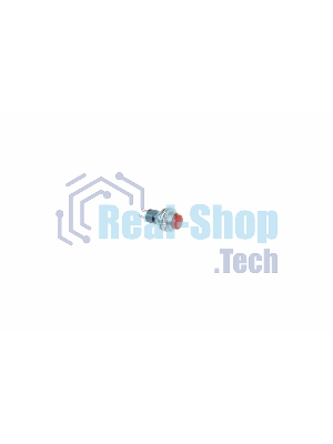 Выключатель-кнопка металл Rexant 220V 2А (2с) (ON)-OFF Ø10.2 красная Mini