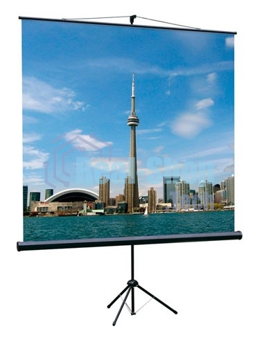 Экран на треноге Lumien 160x160см Eco View LEV-100105 1:1 напольный рулонный