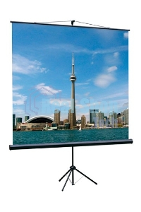Экран на треноге Lumien 160x160см Eco View LEV-100105 1:1 напольный рулонный