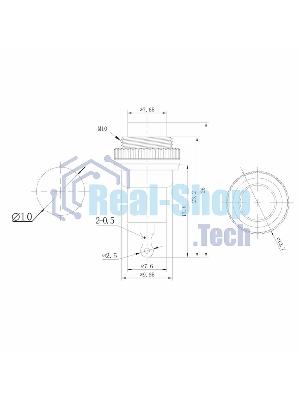 Выключатель-кнопка металл Rexant 220V 2А (2с) (ON)-OFF Ø10.2 черный Mini