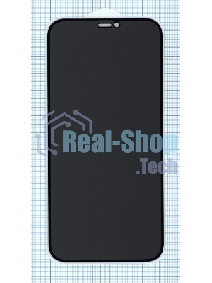 Защитное стекло Privacy 