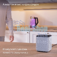 Умная колонка Яндекс Станция Миди, ZigBee, 24Вт, с голосовым ассистентом Алиса на YaGPT, малиновый