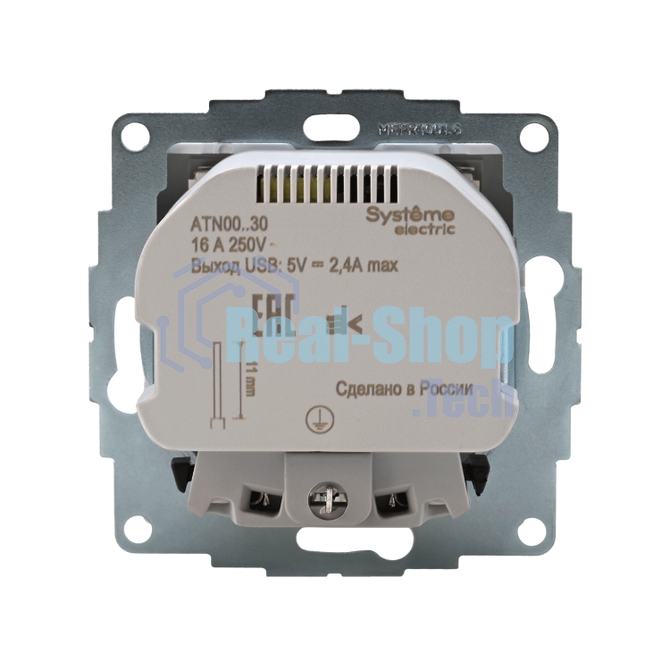 Розетка 16А с 2 USB A+A, 5В/2,4А, 2х5В/1,2А, механизм ATN000130 Schneider Electric белый