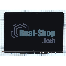 Матрица для MacBook Pro 16 A2485