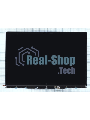 Матрица для MacBook Pro 16 A2485