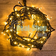 Гирлянда Neon-night 