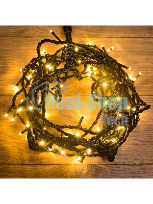 Гирлянда Neon-night 