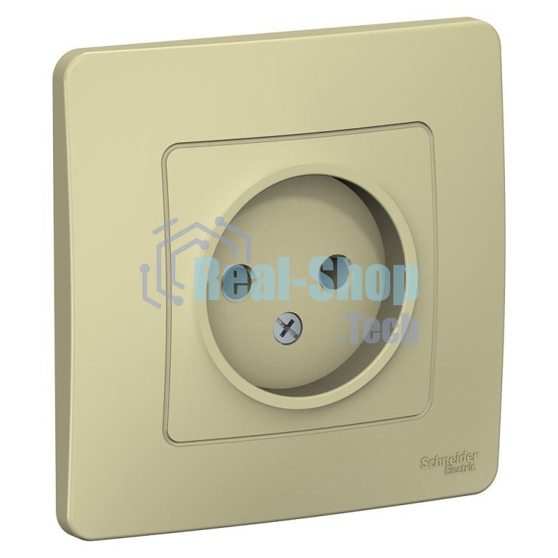 Розетка СП Blanca 16А 250В без шторок без заземл. беж. SchE BLNRS000017
