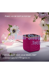 Умная колонка Яндекс Станция Миди, ZigBee, 24Вт, с голосовым ассистентом Алиса на YaGPT, малиновый