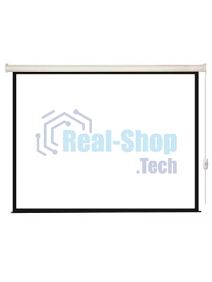 Экран с электроприводом Lumien Eco Control 125x200 см (раб. область 119х194 см) Matte White черная кайма по периметру 16:9