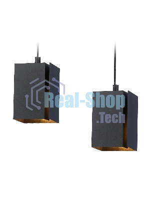 Светильник подвесной TN5133/2 BK черный E27/2 max 40W 260*80*1150