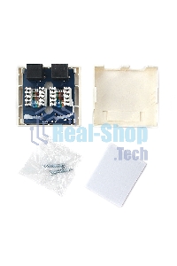 Розетка NA218 RJ-45 кат.6 внешняя 2 порта, 110&Krone