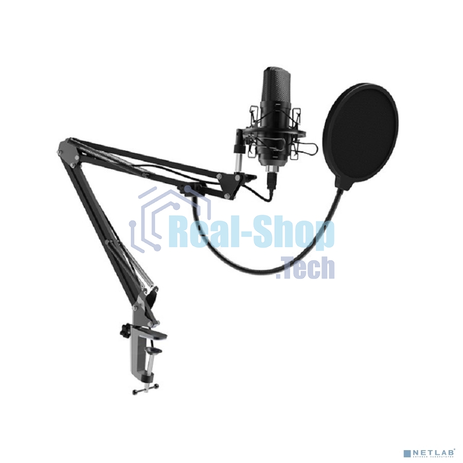 Микрофон Ritmix RDM-169 черный