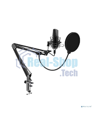 Микрофон Ritmix RDM-169 черный