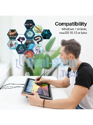 Графический монитор Huion Kamvas Pro 20 (2019), 19.5