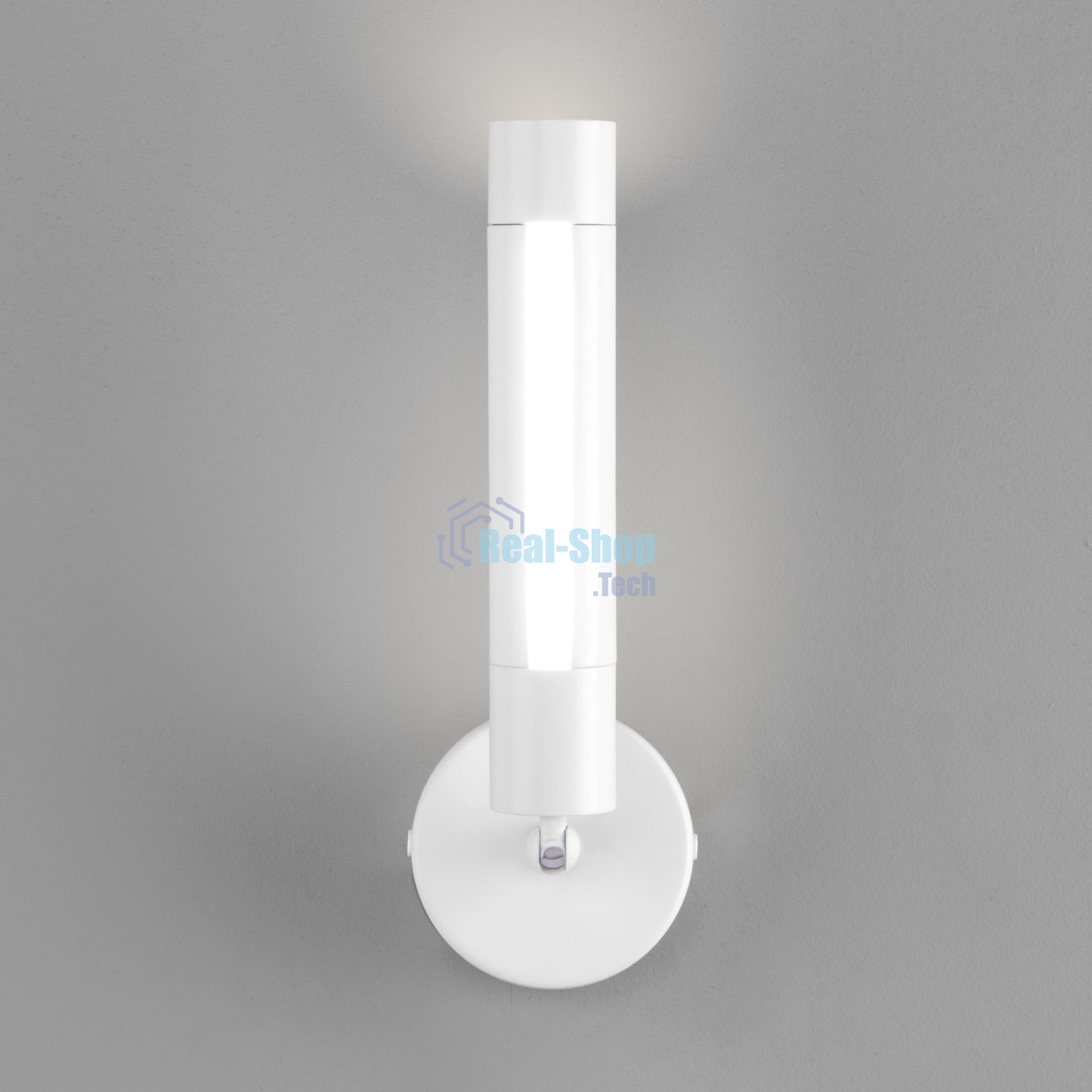 20084/1 LED / настенный светильник / белый
