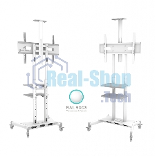 Стойка для телевизора с кронштейном ONKRON TS1552 40