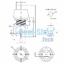 Выключатель-кнопка Rexant 250V 1А (2с) ON-OFF синяя Micro