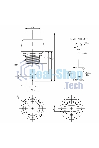 Выключатель-кнопка Rexant 250V 1А (2с) ON-OFF синяя Micro