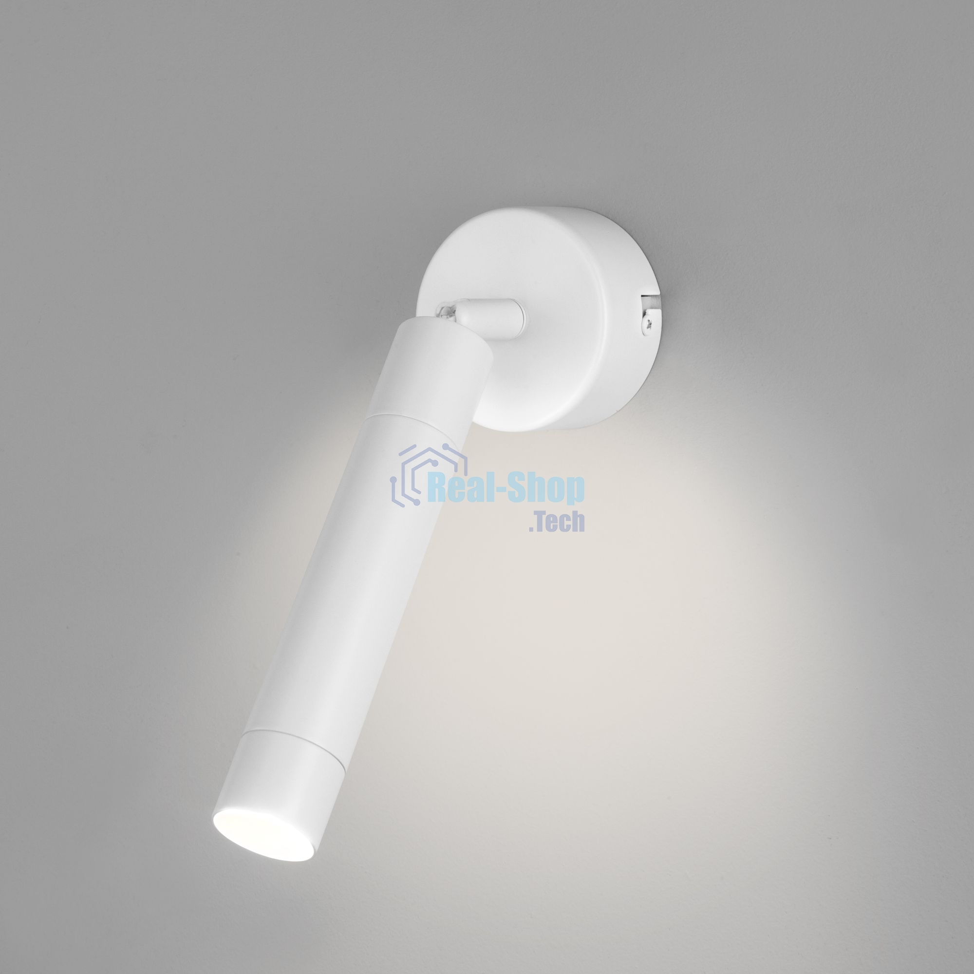 20084/1 LED / настенный светильник / белый