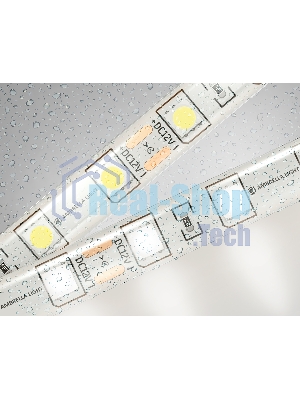 Светодиодная лента Ambrella light GS2102 5050 60Led/ 14.4W m/ 12V IP65 4500K/ 5000*10*2.87mm (2 конт.)