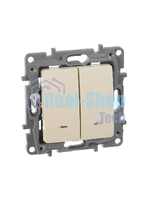 Выключатель 2-клавишный с подсветкой, на винтах, 10АХ, сл. кость