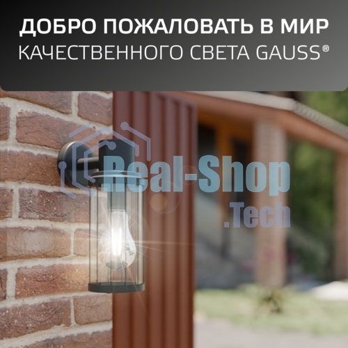Светильник садово-парковый Gauss Vega на стену вниз 10.5x24x14.2cm, 170-240V/50Hz, 1xE27, Max.60W, IP: 54, 1/24