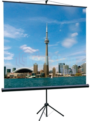 Экраны LUMIEN Lumien Экран на треноге 180x180 см Eco View LEV-100102 1:1 с возможностью настенного крепления