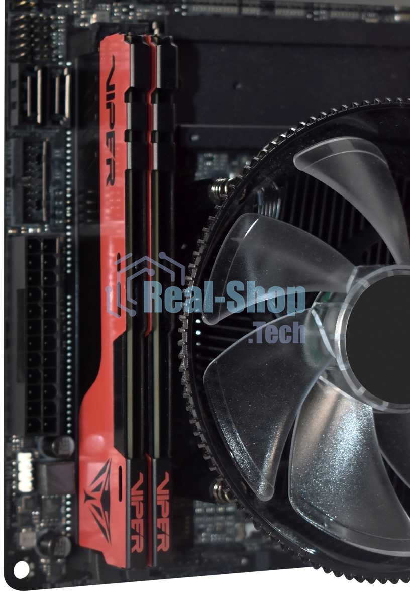 Оперативная память Patriot Viper Elite II, DDR4, 32GB (2x16 GB), 3600 MHz, CL20, DIMM, радиатор, красный, черный