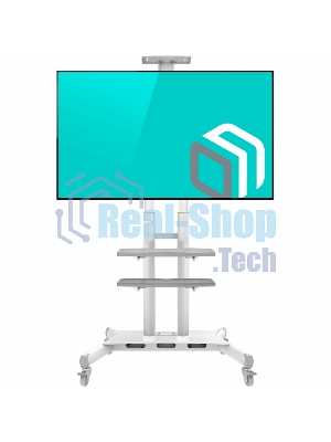 Стойка для телевизора с кронштейном ONKRON TS1881 50