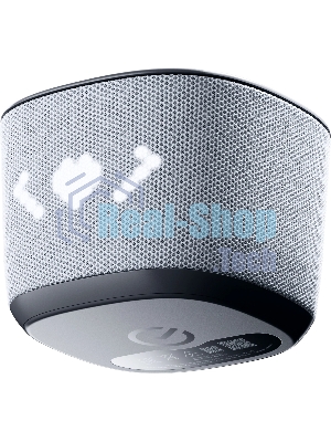 Умная колонка Sber Boom Home, 8Вт, с экраном, 1 динамик, часы, мультирум, TWS, Zigbee хаб, Wi-Fi, Bluetooth 5.0, Zigbee, Салют, серый