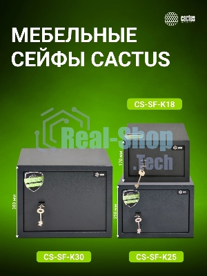 Сейф мебельный Cactus CS-SF-K25 250x350x250мм ключевой