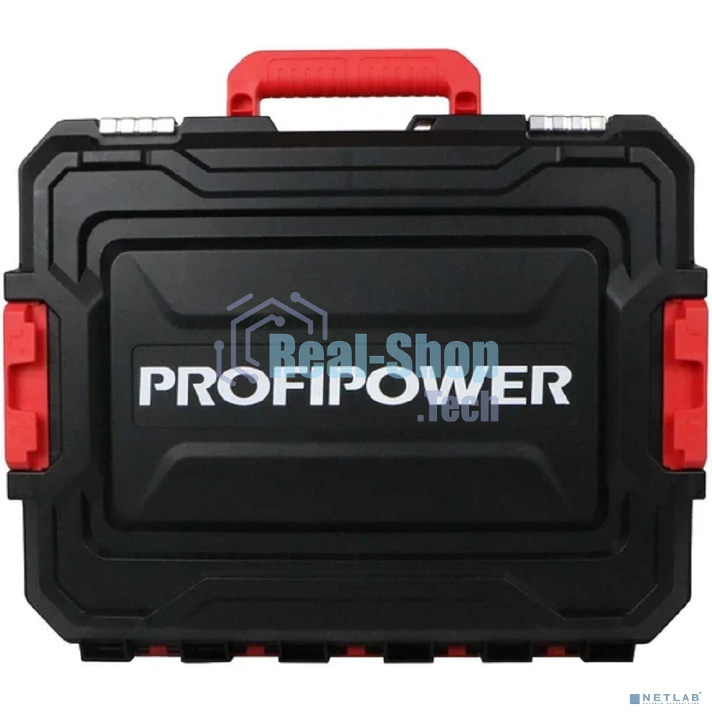 Аккумуляторный бесщеточный НАБОР 2в1 PROFIPOWER ProfiSet-2H20 (Li-ion-2шт, 20В, 4.0Ач, З/У, коробка, E0080, E0186) E0286