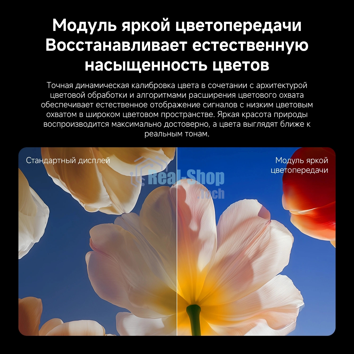Телевизор Xiaomi TV S Mini LED 65 2026 L65MC-SRU темно-серый/черный 4K UHD 120Hz Android TV 2GB/32GB