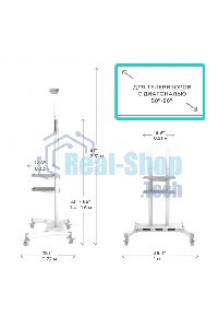 Стойка для телевизора с кронштейном ONKRON TS1881 50