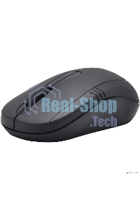 Мышь беспроводная ExeGate Professional Standard SR-9021 черный, 1200 dpi, радиоканал, USB, кнопки - 3