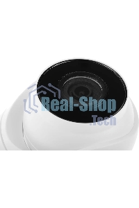 Камера видеонаблюдения IP HiWatch DS-I203(E)(2.8мм) 2.8-2.8мм цв. корп.:белый