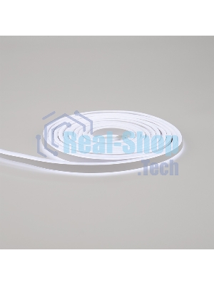 Гибкий неон Neon-night LED SMD 8х16 мм, двухсторонний, белый, 120 LED/м, 5 м