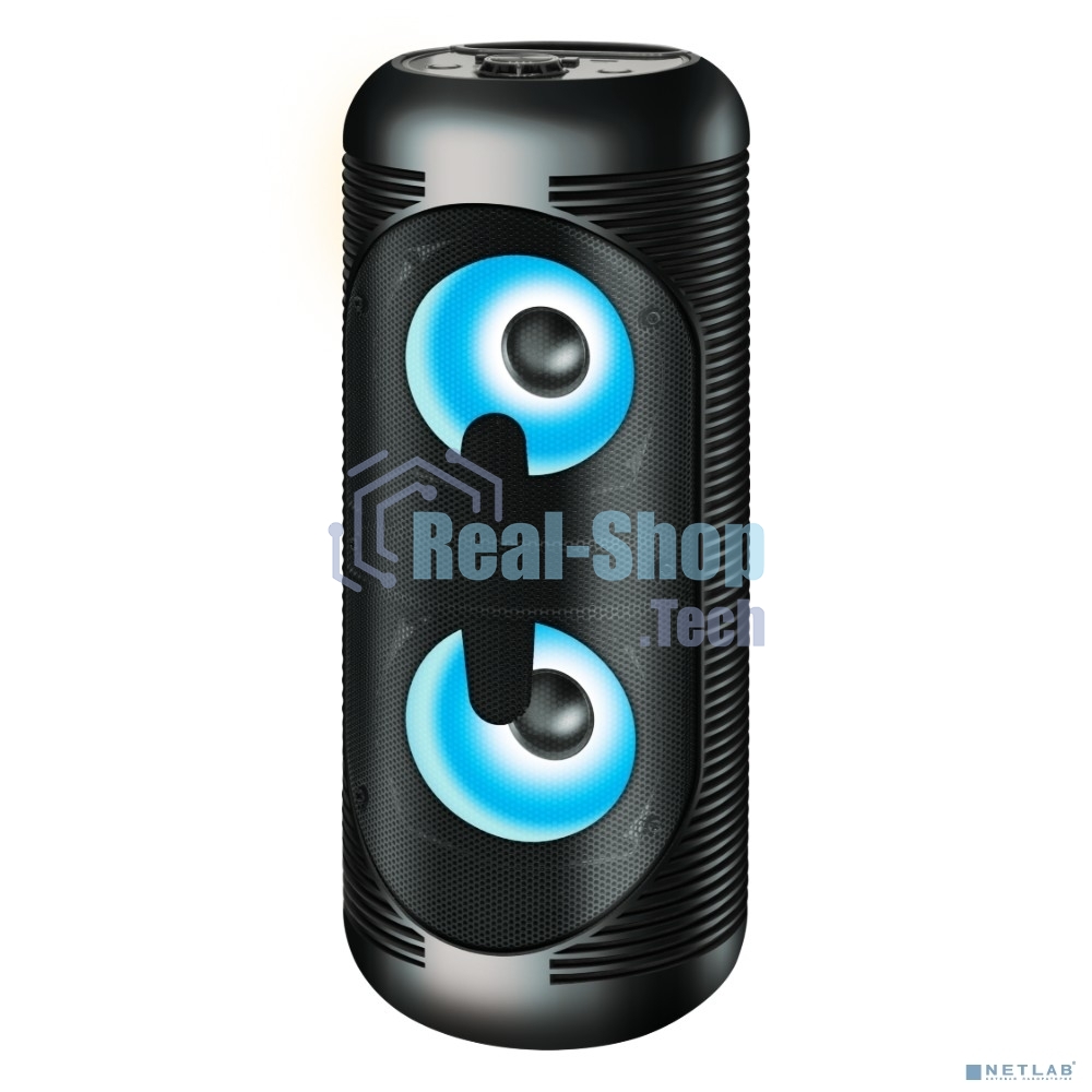 Акустическая система Ginzzu GM-210 Midi RGB/BT/USB/TF/FM/ДУ черный