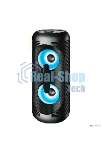 Акустическая система Ginzzu GM-210 Midi RGB/BT/USB/TF/FM/ДУ черный