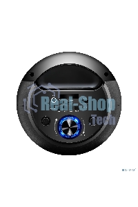 Акустическая система Ginzzu GM-210 Midi RGB/BT/USB/TF/FM/ДУ черный