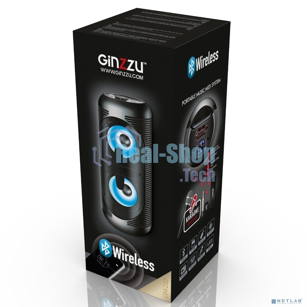 Акустическая система Ginzzu GM-210 Midi RGB/BT/USB/TF/FM/ДУ черный
