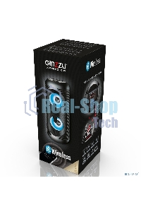 Акустическая система Ginzzu GM-210 Midi RGB/BT/USB/TF/FM/ДУ черный