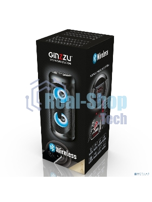 Акустическая система Ginzzu GM-210 Midi RGB/BT/USB/TF/FM/ДУ черный