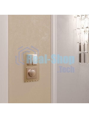 Рамка WERKEL на 2 поста (шампань,стекло) W0021111