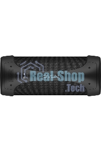 Колонка портативная Sven АС PS-370 черный 40W 2.0 BT