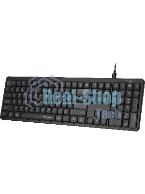 Клавиатура A4Tech FX55 черный USB slim Multimedia кабель 1.5м