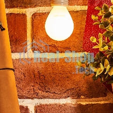 Лампа светодиодная филаментная Rexant Шарик GL45 9.5 Вт 915 Лм 2700K E14 матовая колба