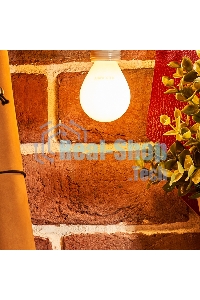 Лампа светодиодная филаментная Rexant Шарик GL45 9.5 Вт 915 Лм 2700K E14 матовая колба